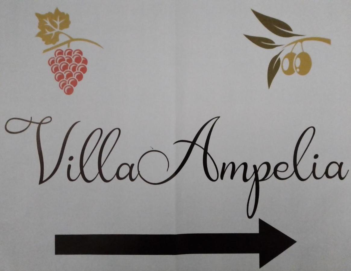 Villa Ampelia Сітія Екстер'єр фото